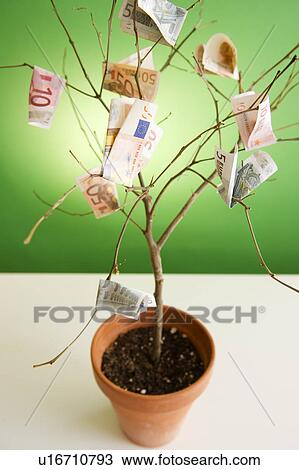 Stock Image - Close up of potted plant with euro banknotes on branches. Fotosearch