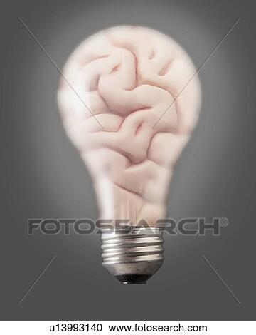 Stock Image - Composition of bulb and one human brain. Fotosearch