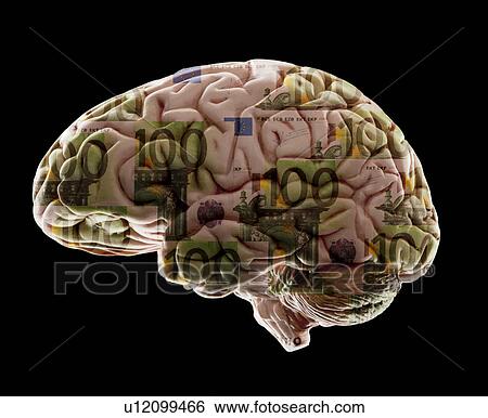 Stock Photograph - Composition of human brain model and one hundred euro notes. Fotosearch