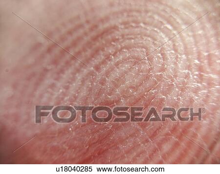 Stock Photography - Extreme close-up of fingerprint. Fotosearch