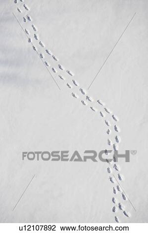 Stock Image - Footprints in snow. Fotosearch