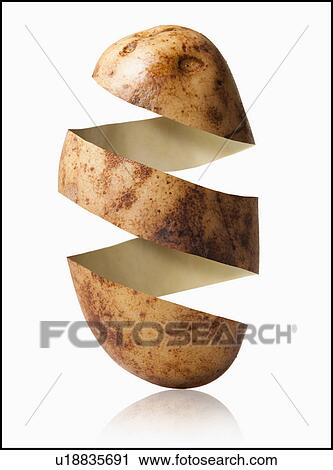 Potato peel in potato shape, studio shot View Large Photo Image Stock Image - Potato peel in potato shape, studio shot. Fotosearch