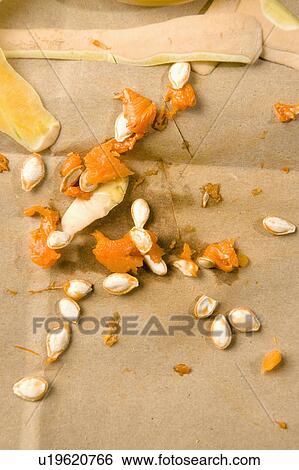 Stock Photograph - Pumpkin seeds. Fotosearch