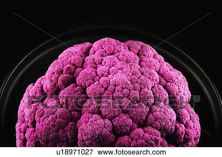 Stock Photo - Purple Cauliflower on black background. Fotosearch