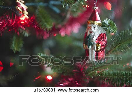 Santa Claus Christmas decoration hanging on Christmas tree, studio shot View Large Photo Image Stock Image - Santa Claus Christmas decoration hanging on Christmas tree, studio shot. Fotosearch