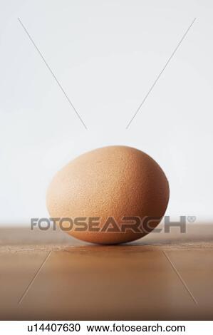 Studio shot of egg View Large Photo Image Stock Image - Studio shot of egg. Fotosearch