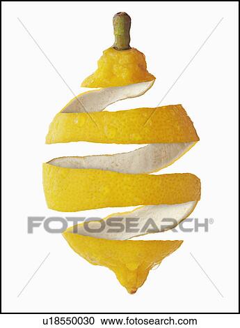 Studio Shot of lemon peel View Large Photo Image Stock Image - Studio Shot of lemon peel. Fotosearch