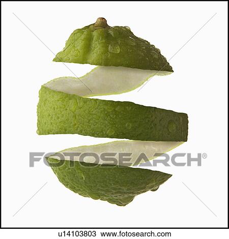 Studio Shot of lime peel View Large Photo Image Stock Image - Studio Shot of lime peel. Fotosearch