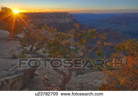USA, Arizona, Grand Canyon, Yavapi Point at sunset View Large Photo Image Stock Photo - USA, Arizona, Grand Canyon, Yavapi Point at sunset. Fotosearch