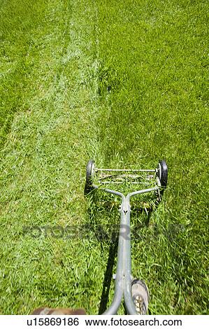 USA, California, Point Reyes, Old fashioned mower on lawn View Large Photo Image Stock Photograph - USA, California, Point Reyes, Old fashioned mower on lawn. Fotosearch