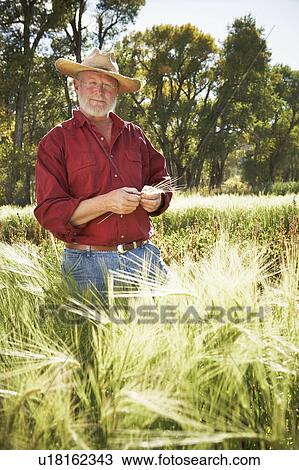 USA, Colorado, Aspen, portrait of male farmer in field View Large Photo Image Stock Image - USA, Colorado, Aspen, portrait of male farmer in field. Fotosearch