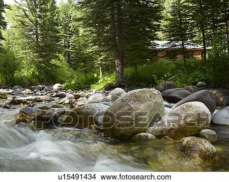 USA, Colorado, River flowing through forest View Large Photo Image Picture - USA, Colorado, River flowing through forest. Fotosearch