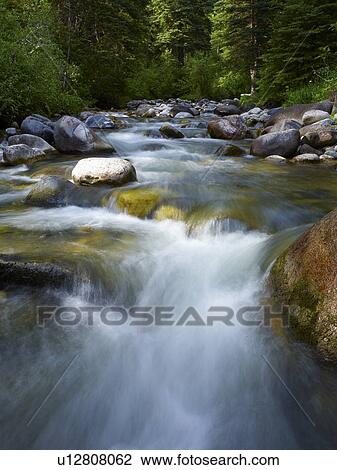 Stock Image - USA, Colorado, River flowing through forest. Fotosearch