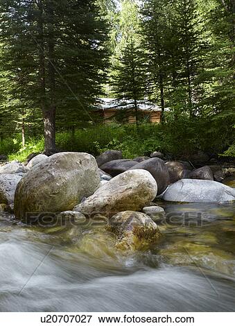Stock Photo - USA, Colorado, River flowing through forest. Fotosearch