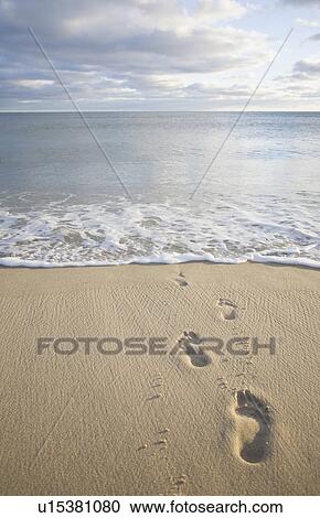 USA, Massachusetts, Cape Cod, footprints on beach at sunset View Large Photo Image Stock Image - USA, Massachusetts, Cape Cod, footprints on beach at sunset. Fotosearch