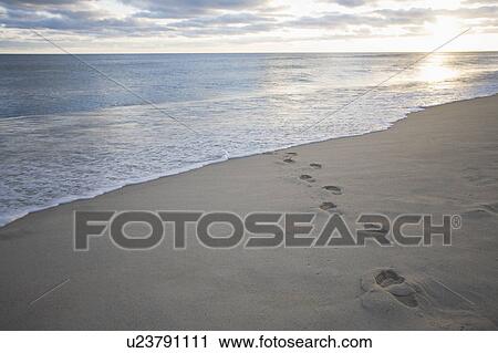 USA, Massachusetts, Cape Cod, footprints on beach at sunset View Large Photo Image Stock Image - USA, Massachusetts, Cape Cod, footprints on beach at sunset. Fotosearch