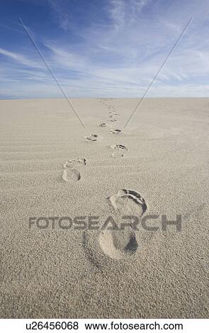 USA, Massachusetts, Cape Cod, footprints on beach View Large Photo Image Stock Photo - USA, Massachusetts, Cape Cod, footprints on beach . Fotosearch