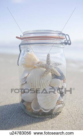 USA, Massachusetts, close up of shells in jar View Large Photo Image Stock Photograph - USA, Massachusetts, close up of shells in jar. Fotosearch