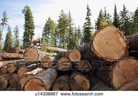 Stock Photo - USA, Montana, electric saw on stack of logs. Fotosearch