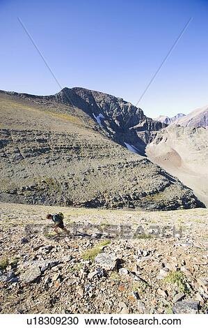 USA, Montana, Glacier National Park, Mid adult man hiking View Large Photo Image Stock Image - USA, Montana, Glacier National Park, Mid adult man hiking . Fotosearch