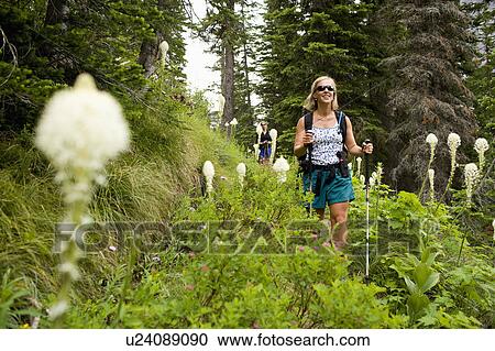 Stock Image - USA, Montana, Glacier National Park, Two mid adult women hiking. Fotosearch