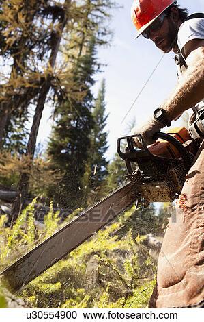 Stock Image - USA, Montana, Lakeside, lumberjack felling tree. Fotosearch