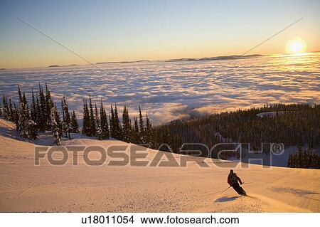USA, Montana, Whitefish, Mid adult woman skiing View Large Photo Image Picture - USA, Montana, Whitefish, Mid adult woman skiing. Fotosearch