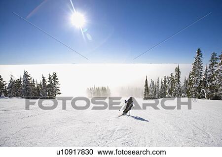 USA, Montana, Whitefish, Woman skiing View Large Photo Image Stock Image - USA, Montana, Whitefish, Woman skiing. Fotosearch