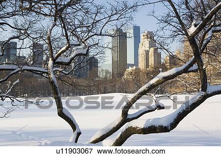 Stock Photo - USA, New York City, View of Central Park in winter with Manhattan skyline in background. Fotosearch