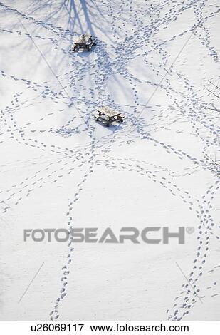Stock Photo - USA, New York State, Croton on Hudson, Footprints in snow. Fotosearch