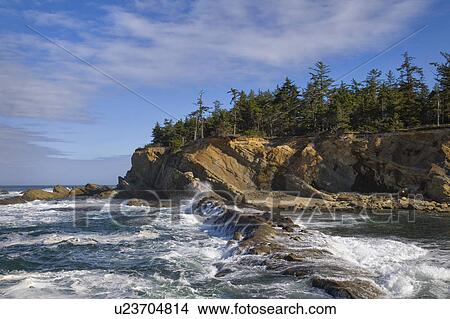 Picture - USA, Oregon, coastline. Fotosearch