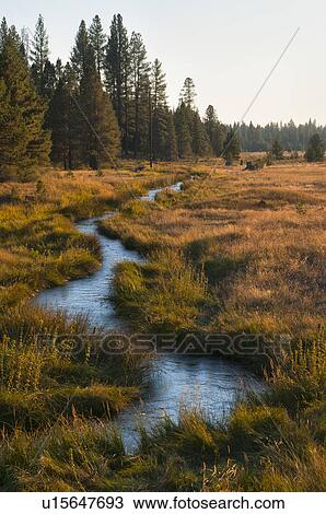 Stock Image - USA, Oregon, Paulina Creek. Fotosearch