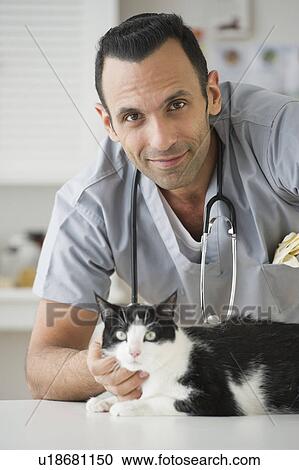 Vet stroking cat in pet clinic View Large Photo Image Stock Image - Vet stroking cat in pet clinic. Fotosearch