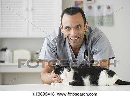 Vet stroking cat in pet clinic View Large Photo Image Stock Photo - Vet stroking cat in pet clinic. Fotosearch