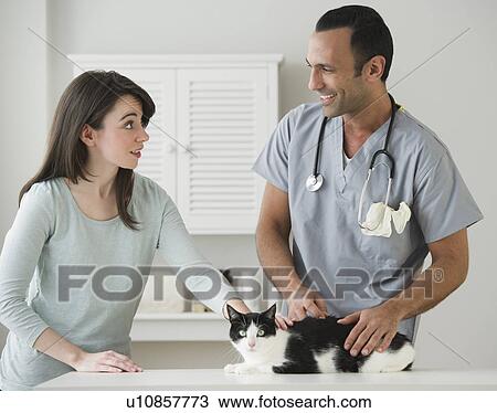 Woman and vet stroking cat in pet clinic View Large Photo Image Stock Image - Woman and vet stroking cat in pet clinic. Fotosearch