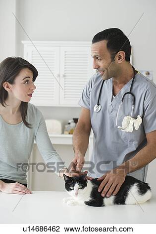 Woman and vet stroking cat in pet clinic View Large Photo Image Stock Image - Woman and vet stroking cat in pet clinic. Fotosearch