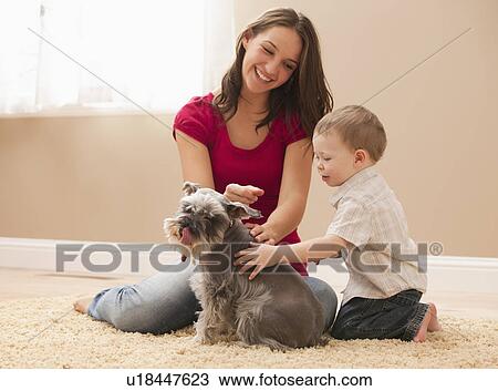 Young woman with brother (2-3) playing with schnauzer View Large Photo Image Stock Image - Young woman with brother (2-3) playing with schnauzer. Fotosearch