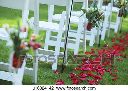 Stock Image - a path of rose petals behind a row of white chairs; troutdale, oregon, united states of america. Fotosearch