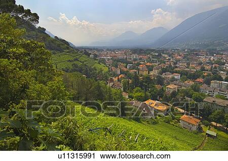 Stock Image - view of a city in the valley near merano and terraced vineyards; trentino alto-adige, italy. Fotosearch