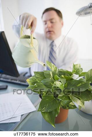 Stock Photography - Businessman watering plant. Fotosearch