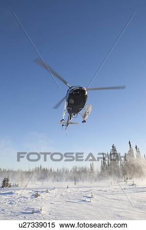 Stock Photography - Canada, Alberta, Helicopter landing on snow. Fotosearch