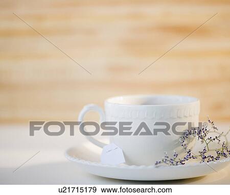 Stock Photo - Cup and saucer decorated with herb. Fotosearch