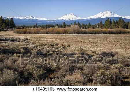 Field with snow covered Cascade mountains in background View Large Photo Image Stock Photography - Field with snow covered Cascade mountains in background. Fotosearch