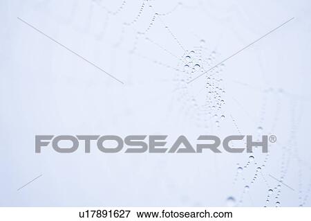 Stock Photo - Footprints in snow. Fotosearch