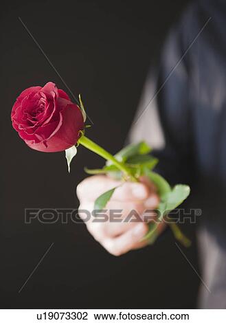 Stock Image - Hand holding red rose. Fotosearch