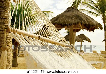Mexico, Playa Del Carmen, hammock on beach View Large Photo Image Stock Photograph - Mexico, Playa Del Carmen, hammock on beach. Fotosearch