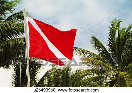 Stock Image - Mexico, Playa Del Carmen, red flag with palm trees. Fotosearch