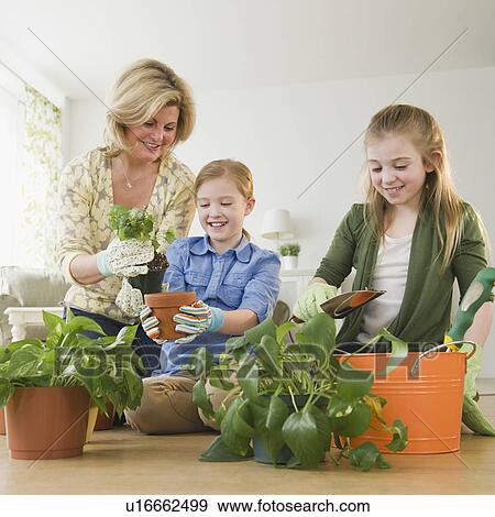 Mother and daughters (8-11) planting flowers View Large Photo Image Stock Photo - Mother and daughters (8-11) planting flowers. Fotosearch