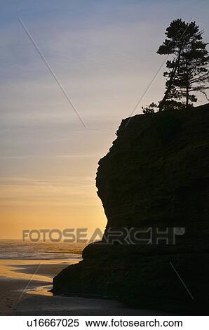 Pine tree on top of cliff at sunset View Large Photo Image Stock Photography - Pine tree on top of cliff at sunset. Fotosearch