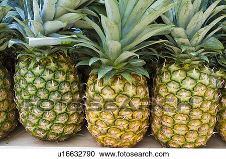 Stock Image - Pineapples on market. Fotosearch